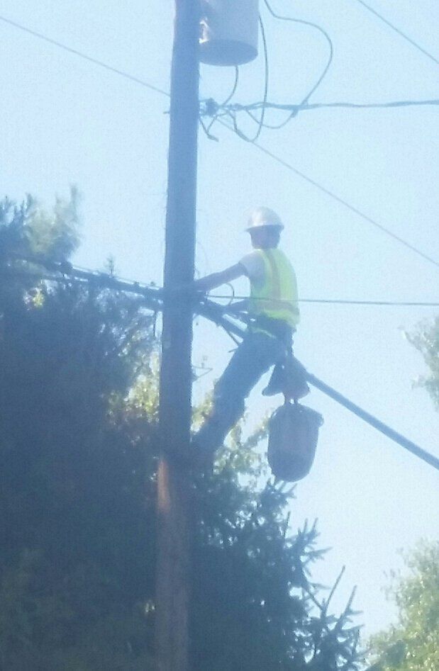 aerial lineman on a telephone pole