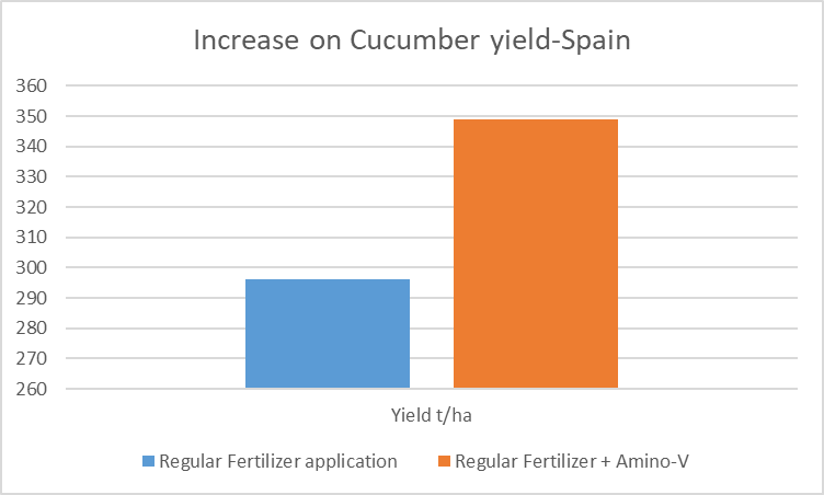 Amino acid biostimulant fertilizer  increases yield in cucumbers