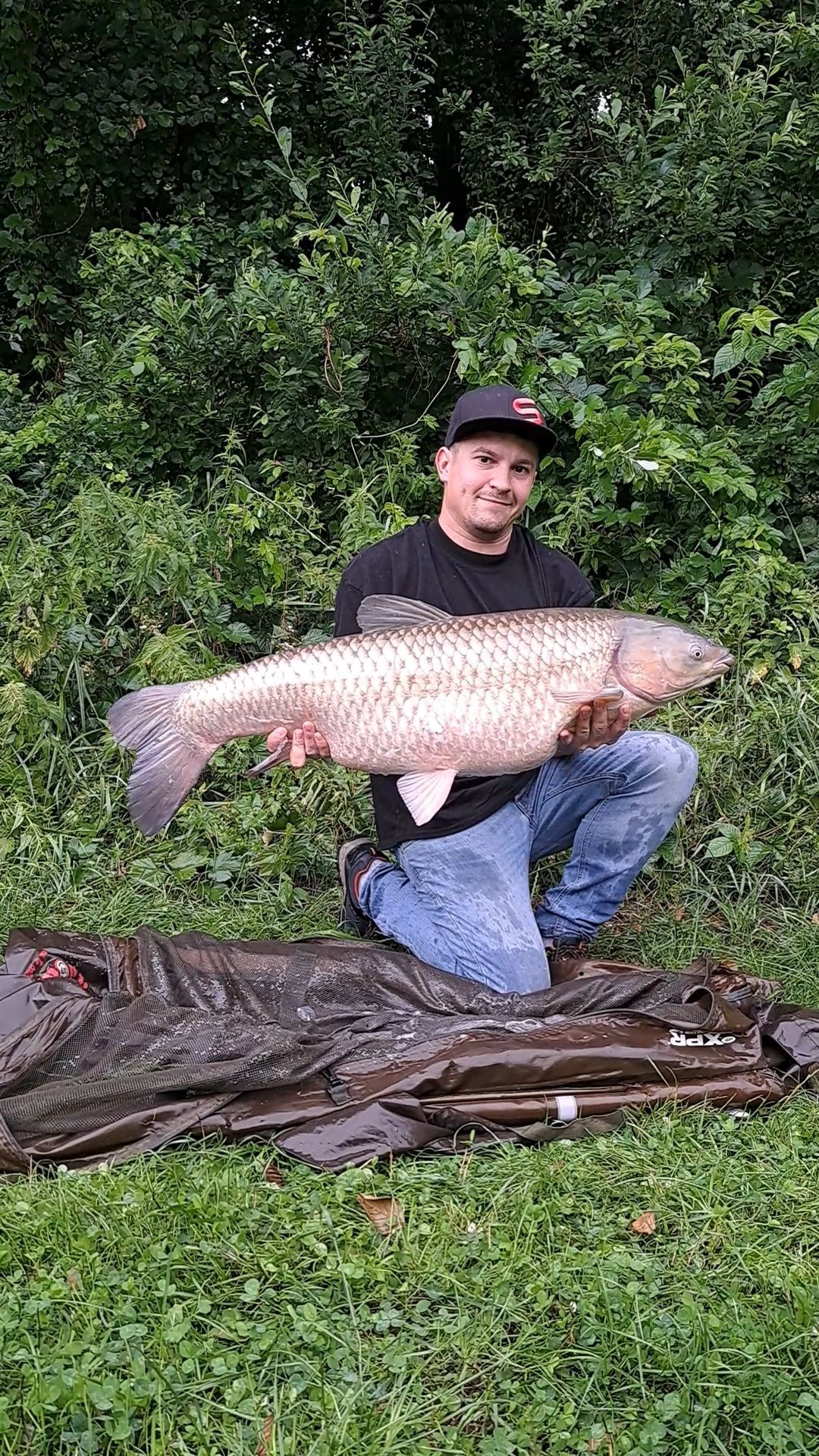 Großer Fisch ASV Roseburg