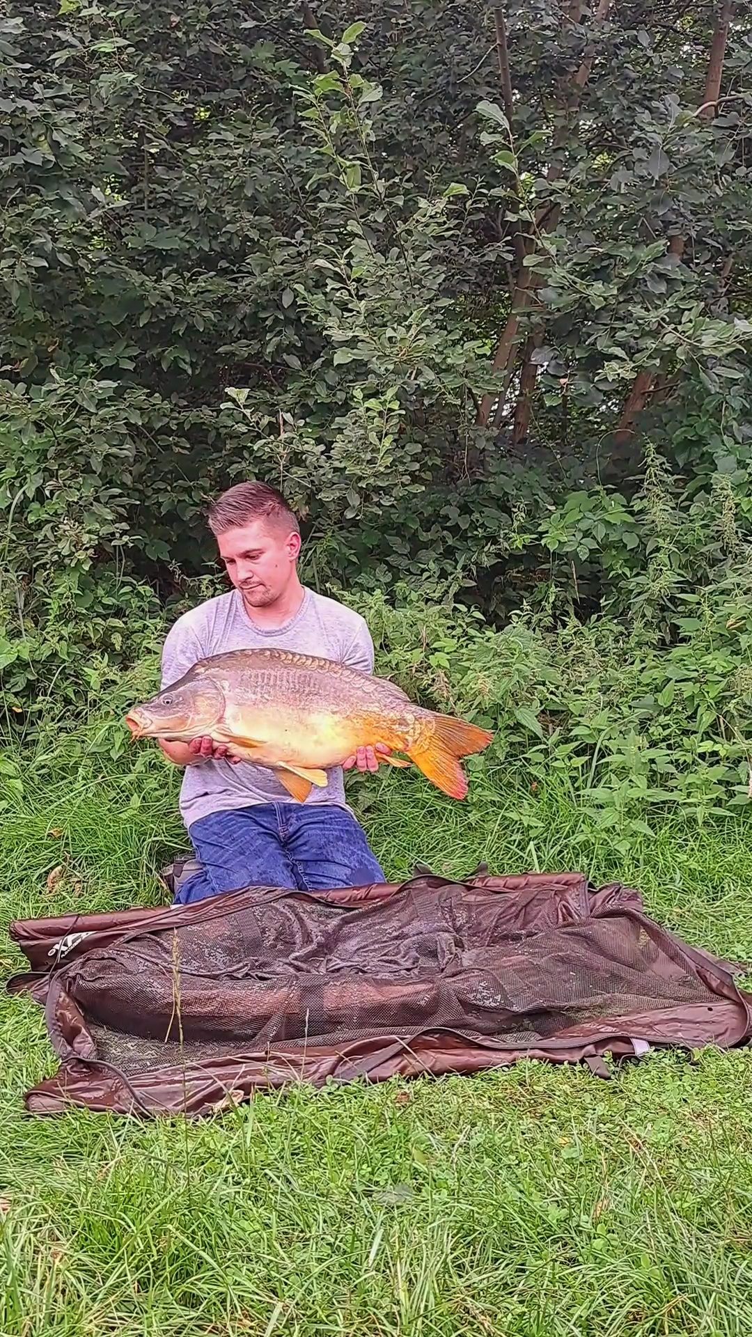 Fänge Witzeeze ASV Roseburg