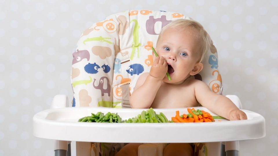 Le Passage A Table L Alimentation Chez L Enfant