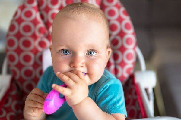 La Chaise Haute Du Jeune Enfant Toujours Utile