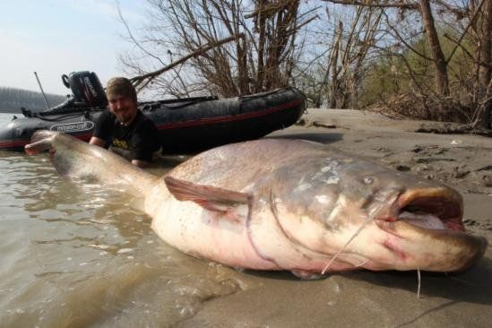 mission-craft Panther 320 mit Waller Stefan Seuß