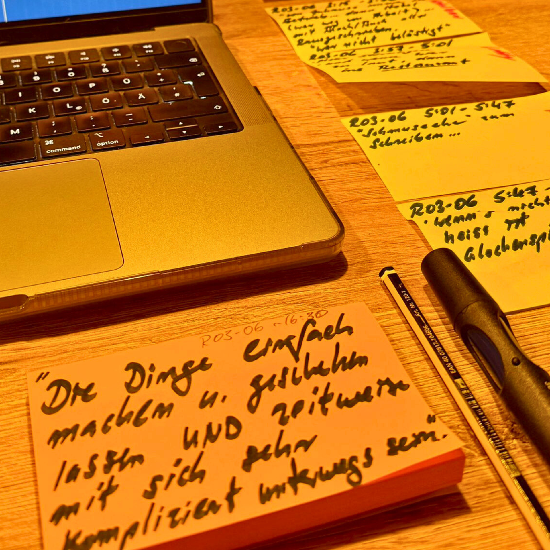 Arbeit an der Audiografie nach den Gesprächen: inhaltliche Aufnahme auf Notizzetteln und erste Schnitte an den Audioaufnahmen am Laptop