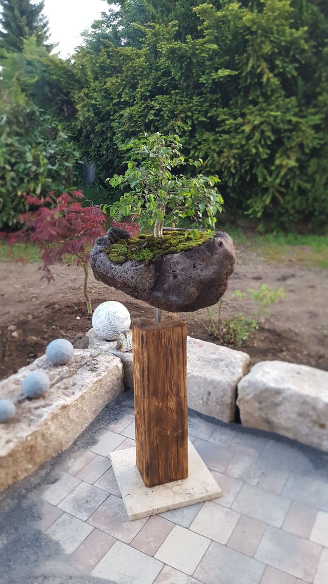 Lavastein-Kies 3 Kg – Ideal Für Sukkulenten, Bonsai, Terrarien & Als Top-Dressing
