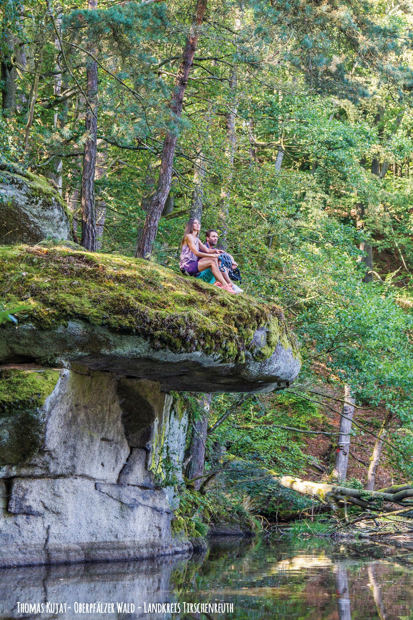 Mächtige Buchen und eine kuriose Felsformation prägen den Steinwald bei Friedenfels