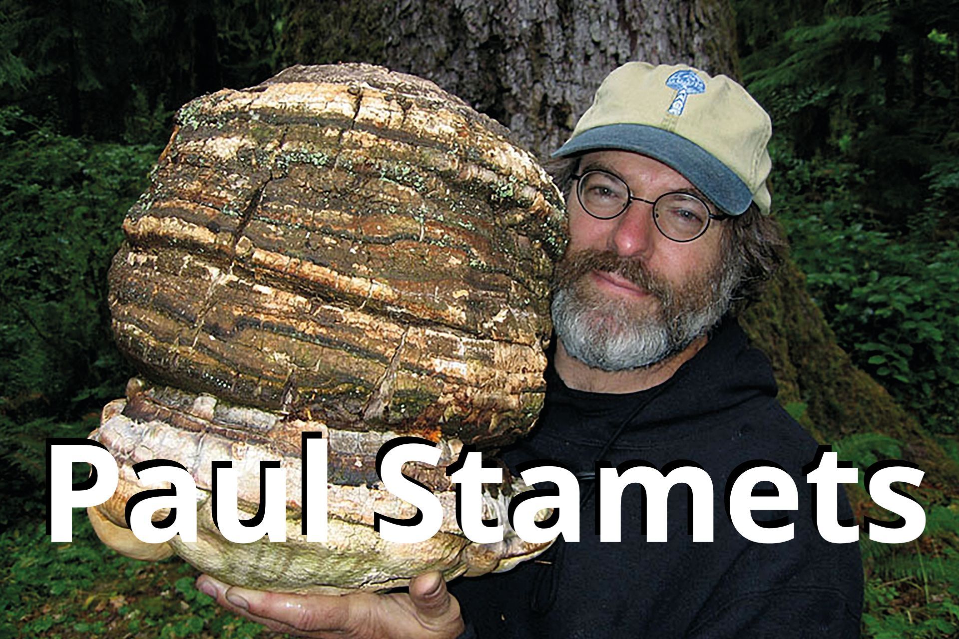 (C) Dusty Yao-Stamets, Wikimedia Commons Paul Stamets