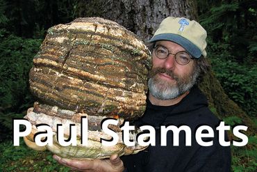 Paul Stamets