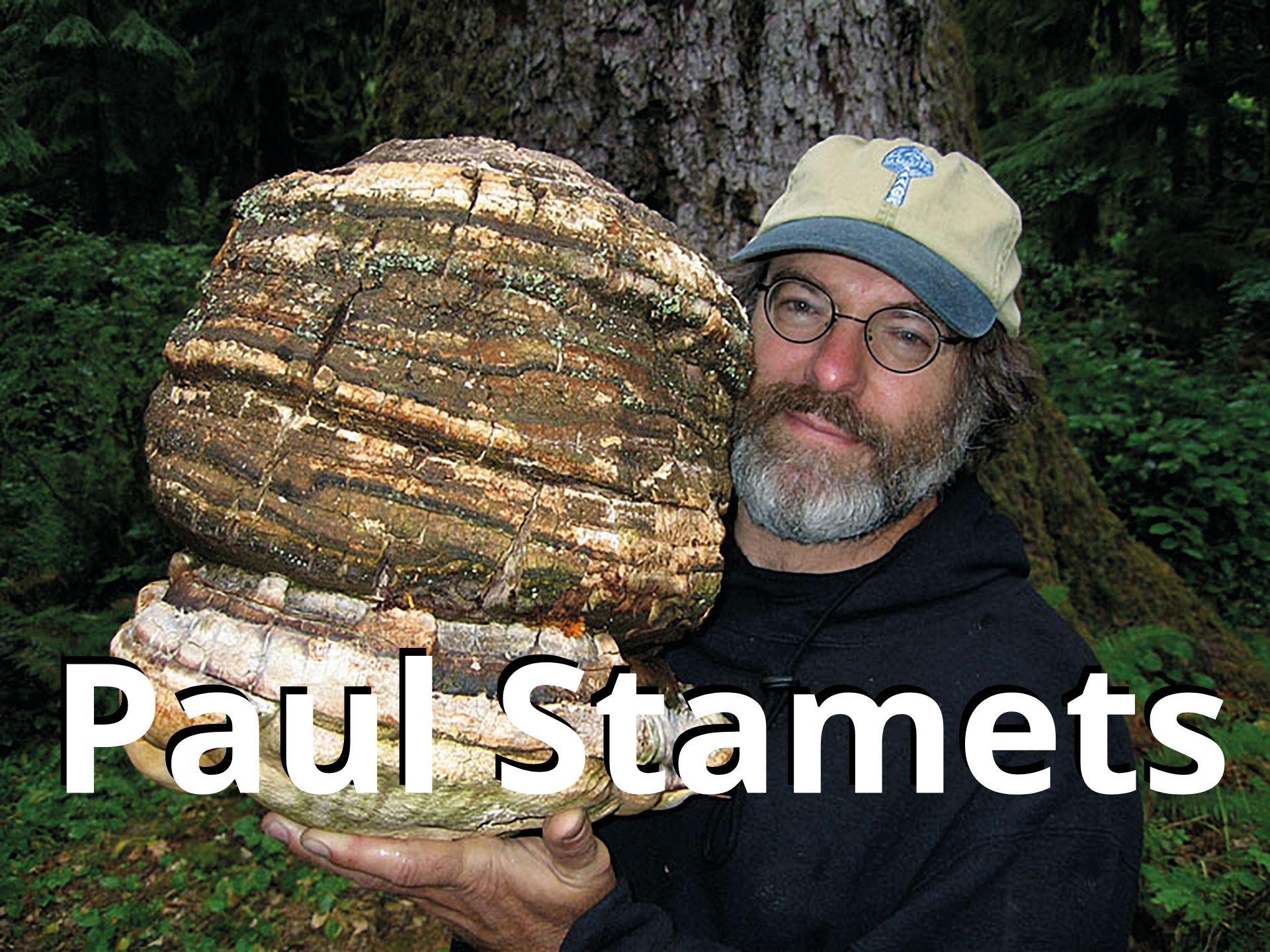 (C) Dusty Yao-Stamets, Wikimedia Commons