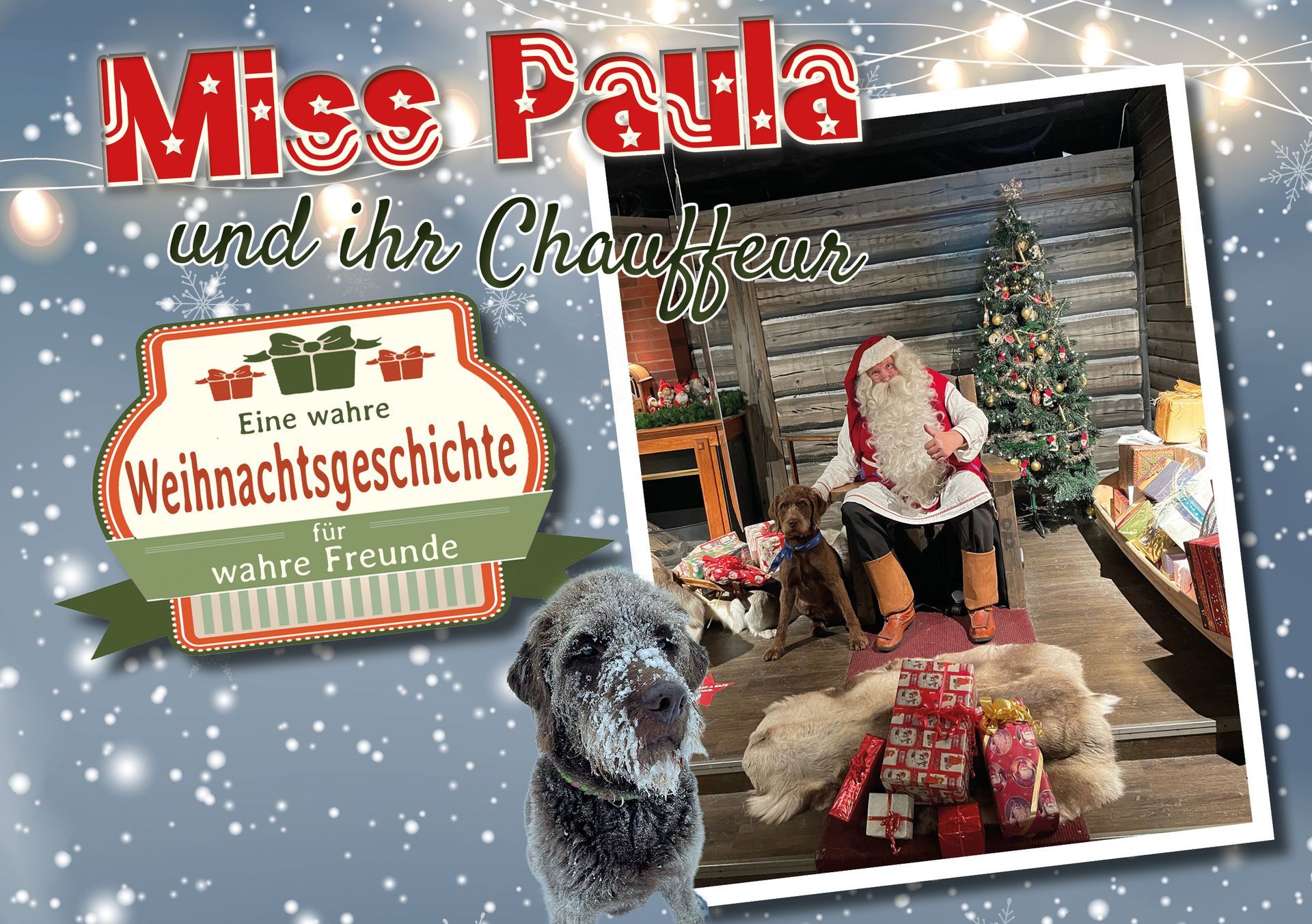 Miss Paula und ihr Chauffeur - eine wahre Weihnachtsgeschichte für wahre Freunde