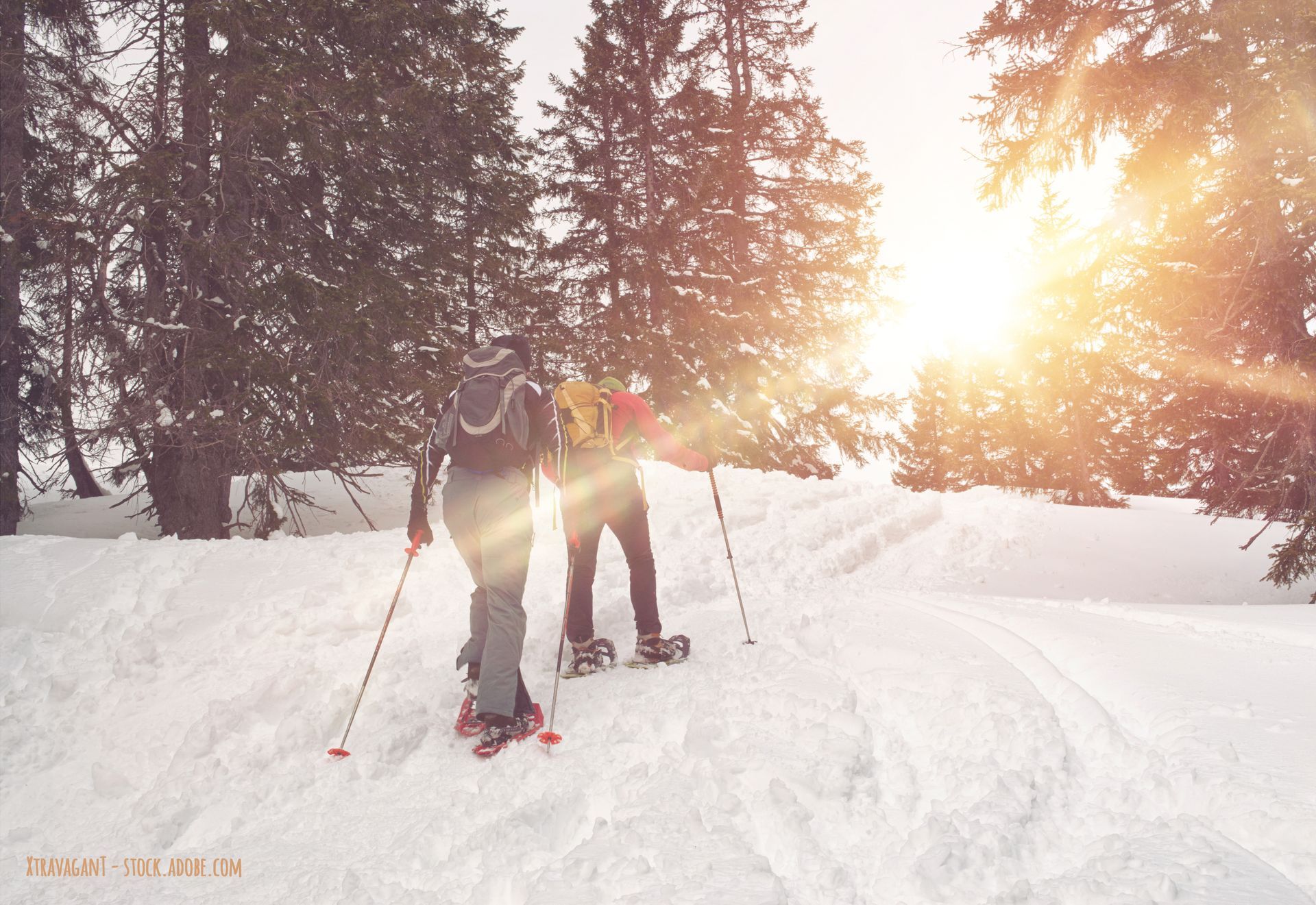 Vom Loipeneinstieg Bretterschachten aus, auf 1120 m Höhe, kann ein Areal von 114 km Klassik Loipen und ­110 ­km Skating Loipen entdeckt werden. Praktisch: Gleich beim Hotel ist die Haltestelle vom Skibus. Der bringt Skifahrer, Skilangläufer, Rodler, Snowboarder oder Winterwanderer in die schönsten schneesicheren Gebiete.