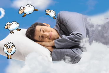 (C) Barillo_Images - stock.adobe.com