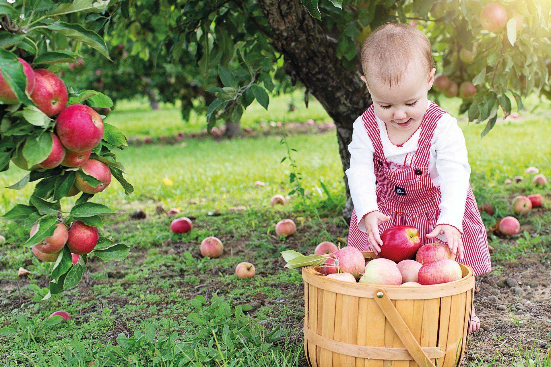 (C) pixabay.com/Bund deutscher Baumschulen (BdB) e.V./akz-o Bäume stärken Kinder