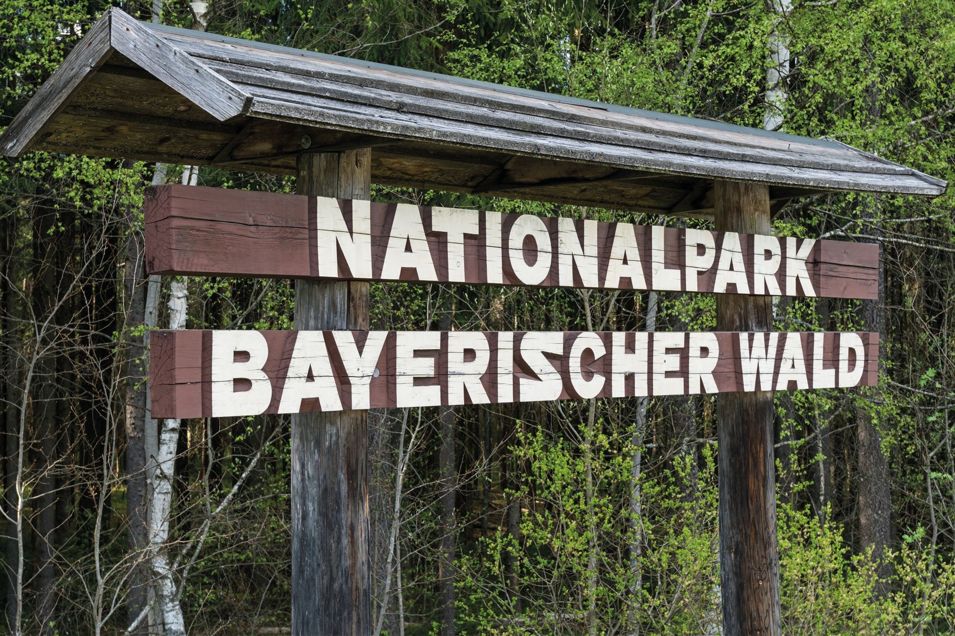 (C) outdoorpixel - stock.adobe.com Bayerischer Wald