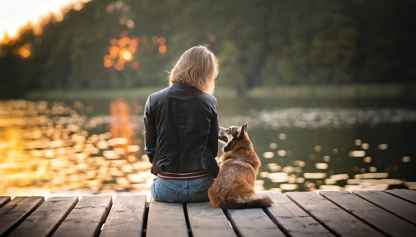 (C) Justyna - stock.adobe.com