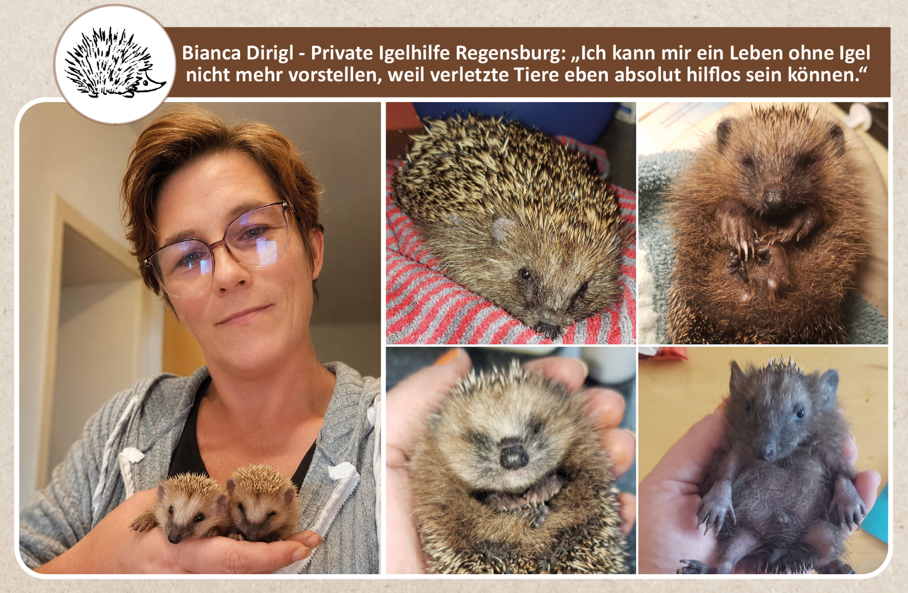 (C) Bianca Dirigl - Private Tierhilfe Regensburg