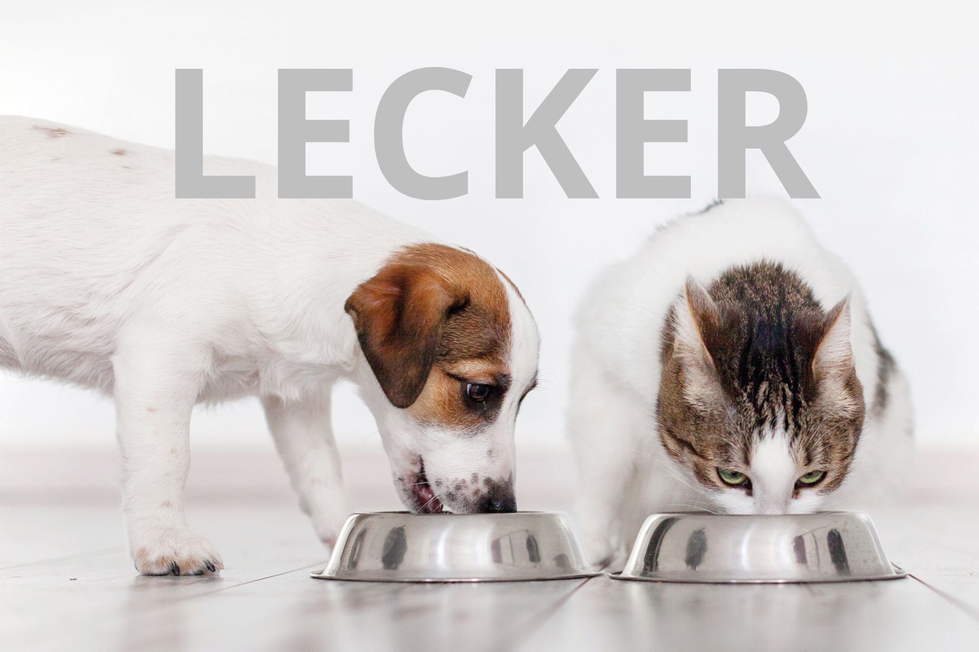 (C) Gladskikh Tatiana/Shutterstock