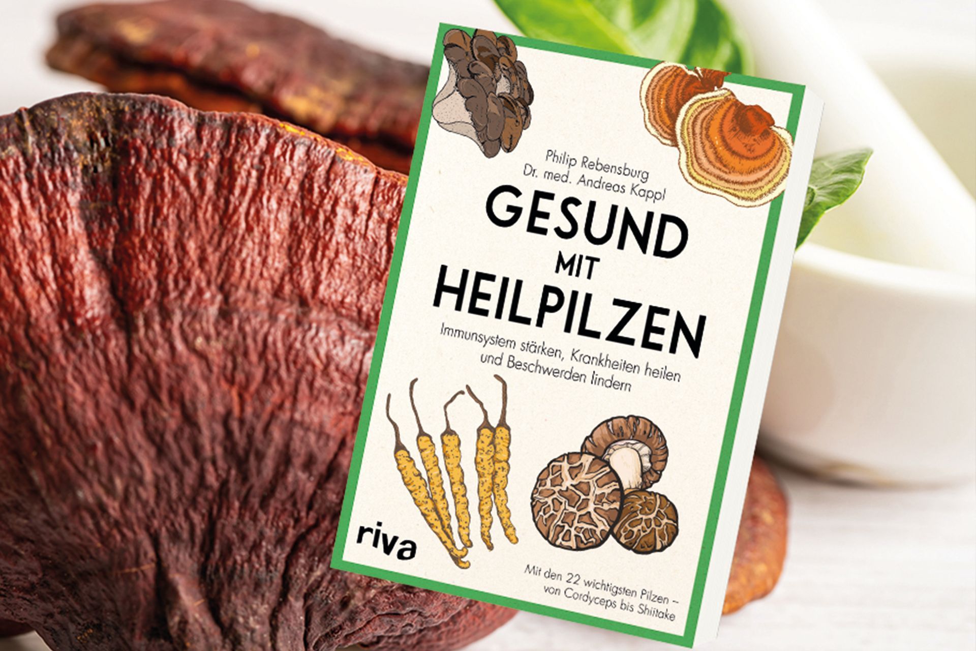 Gesund mit Heilpilzen - Dr. med. Andreas Kappl