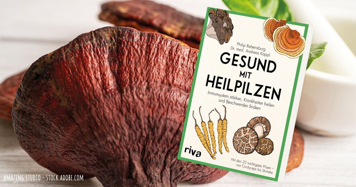 Gewinnspiel GESUND mit Heilpilzen