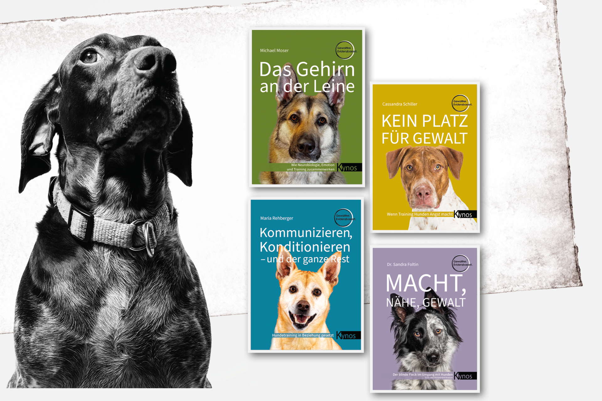 Kynos Buchverlosung