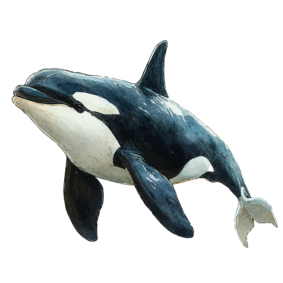 (C) Madaam - stock.adobe.com