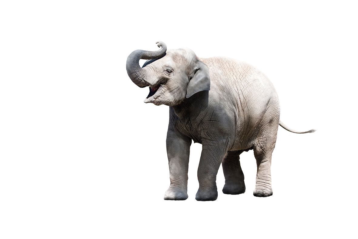 (C) Werner Dreblow - stock.adobe.com