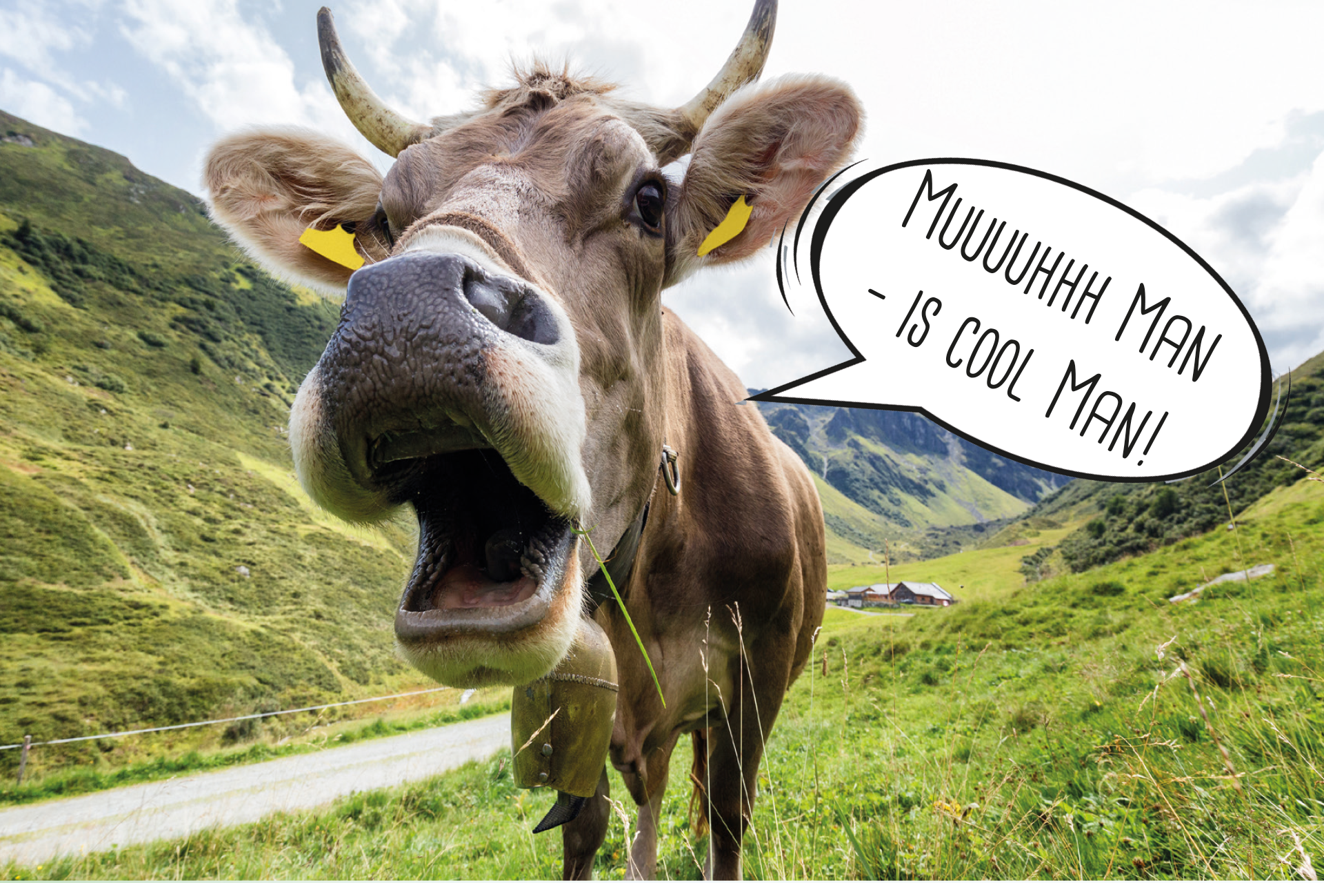 (C) andhall - stock.adobe.com