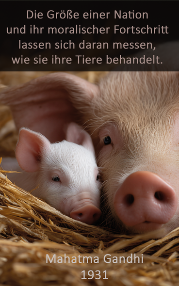 (C) Amazight - stock.adobe.com