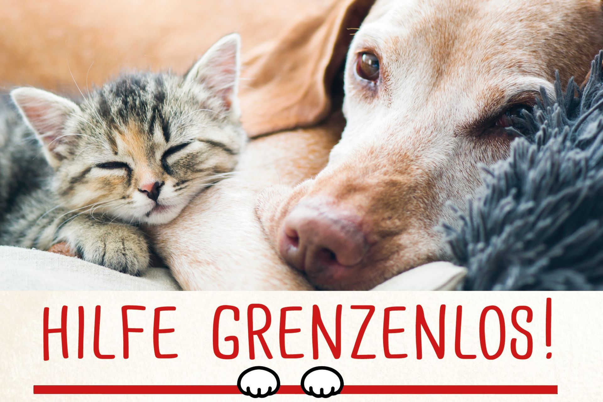 Hilfe grenzenlos - TIerhilfe Kelheim abensberg