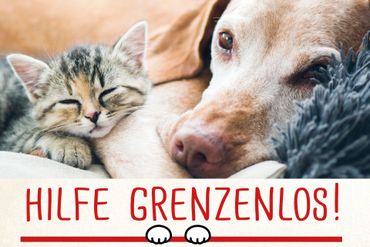 Hilfe grenzenlos Tierhilfe 