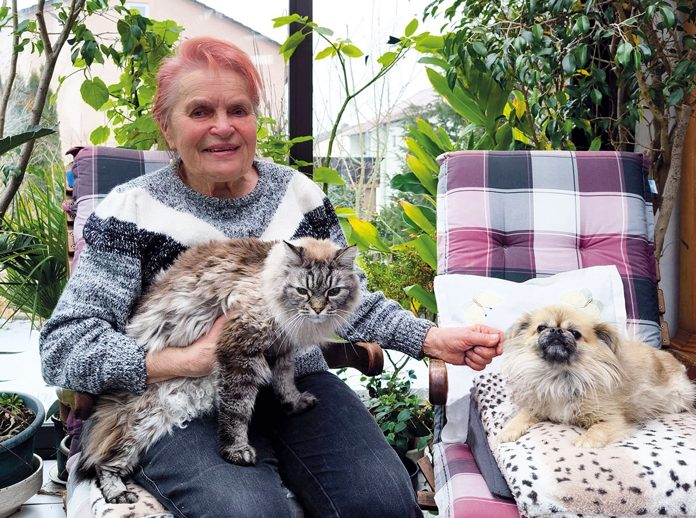 Tierhilfe Kelheim Frau Pledl