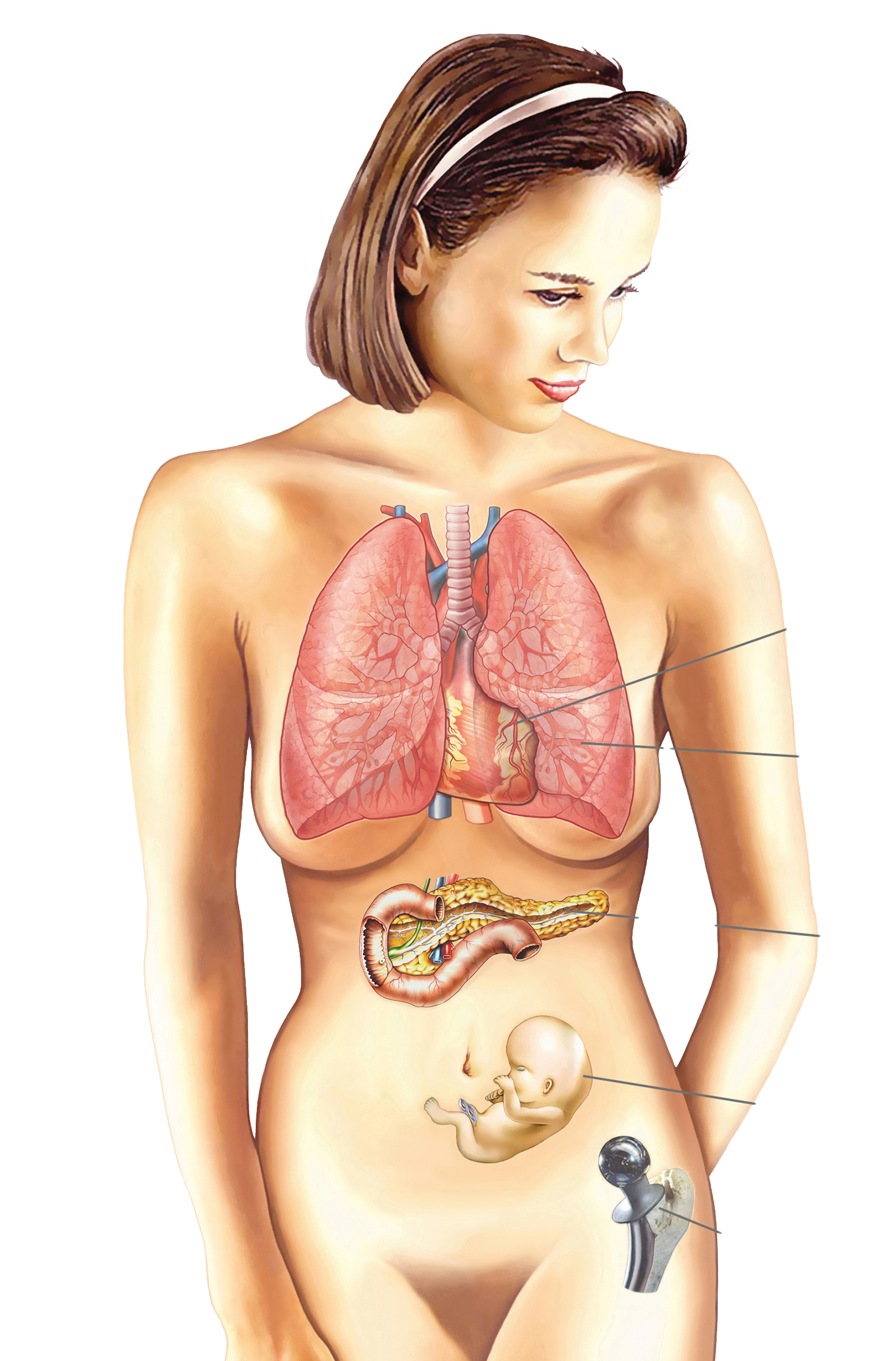 (C) Henrie - stock.adobe.com