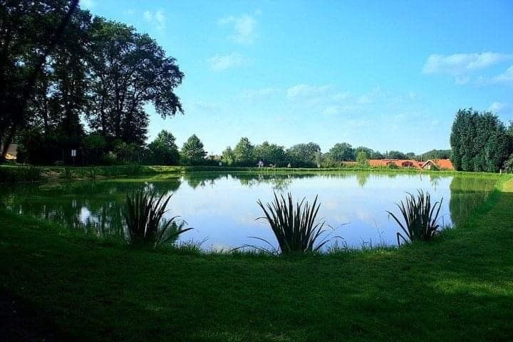 Unsere Teiche