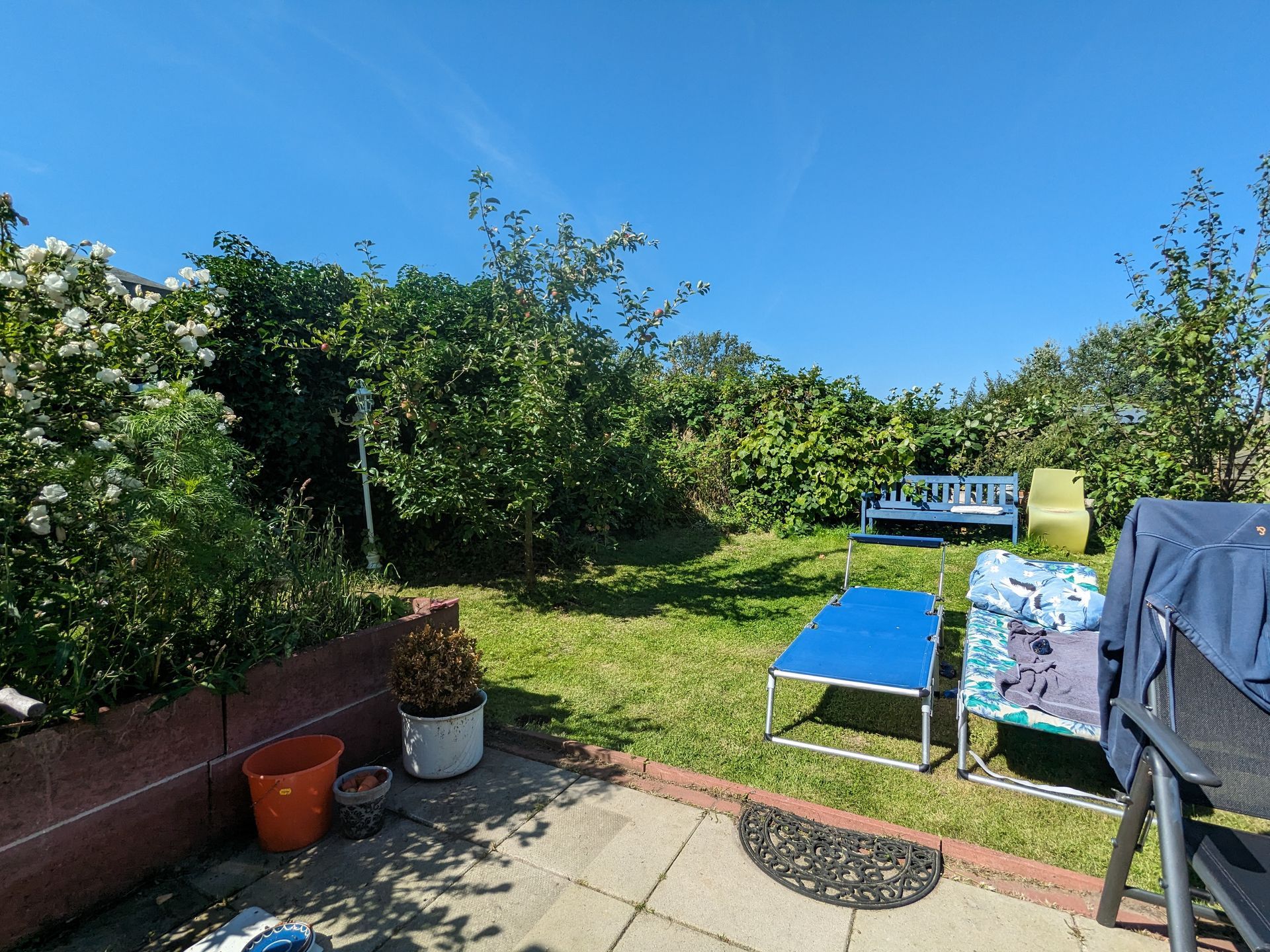 Ein Gartenmit blauem Himmel, grünem Gras, Bäumen und Terrassenmöbeln.