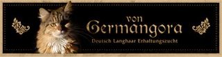 Deutsche Langhaar von Germangora