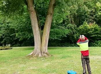 Mann betrachtet Baum zur zertifizierten Zustandsprüfung