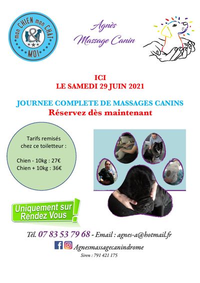 Toilettage Chien Chat Valence Alimentation Et Accessoires