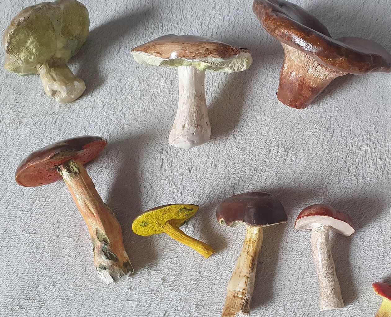 Pilzmodelle selbst herstellen