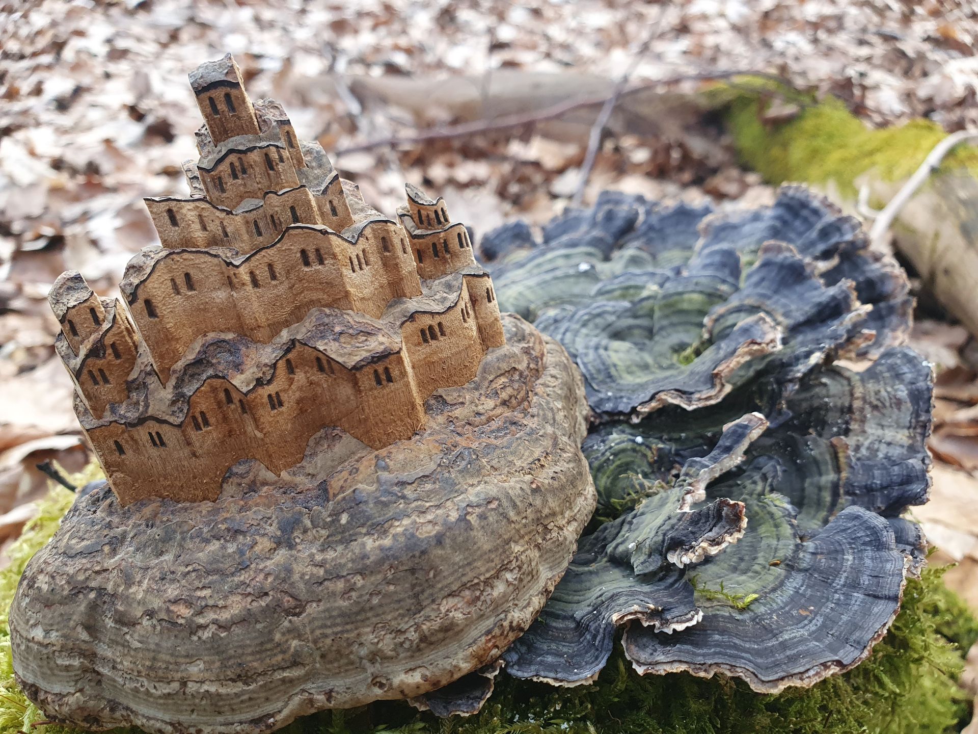 kreatives mit Pilzen