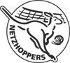 artioli.berlin Netzhoppers Logo  König Wusterhausen Bestensee Volleyball