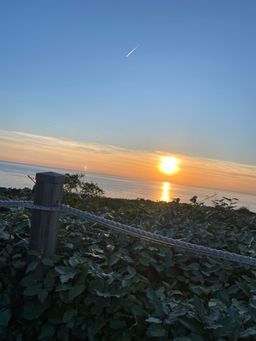 Sonnenuntergang über ruhigem Wasser unter orangefarbenem Himmel, durch einen Zaun und Grün hindurch gesehen