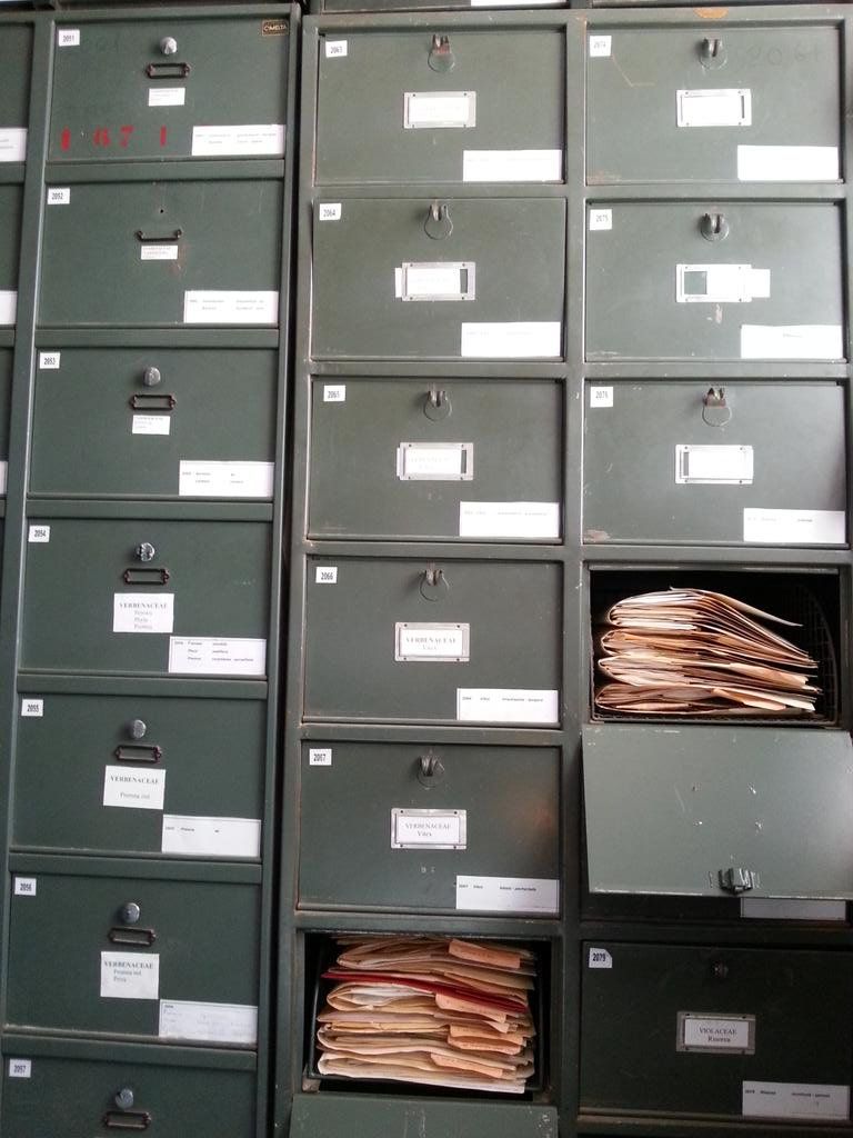 Tan Herbarium boxes
