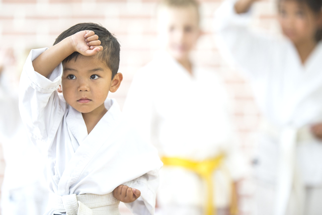 Teisho Karate Fit Und Sicher Home