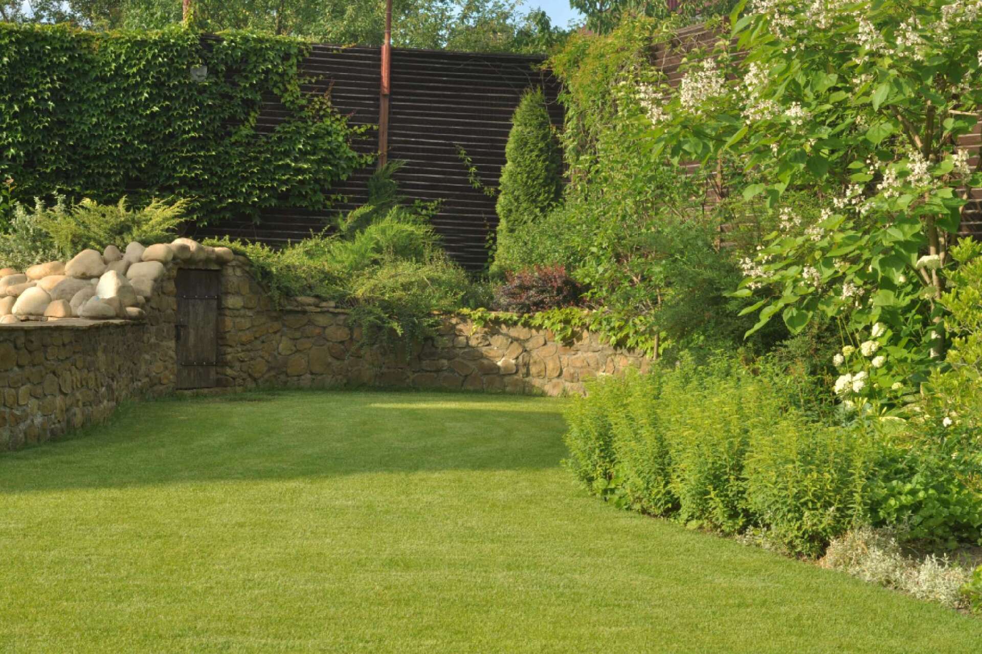 backyard landscaping