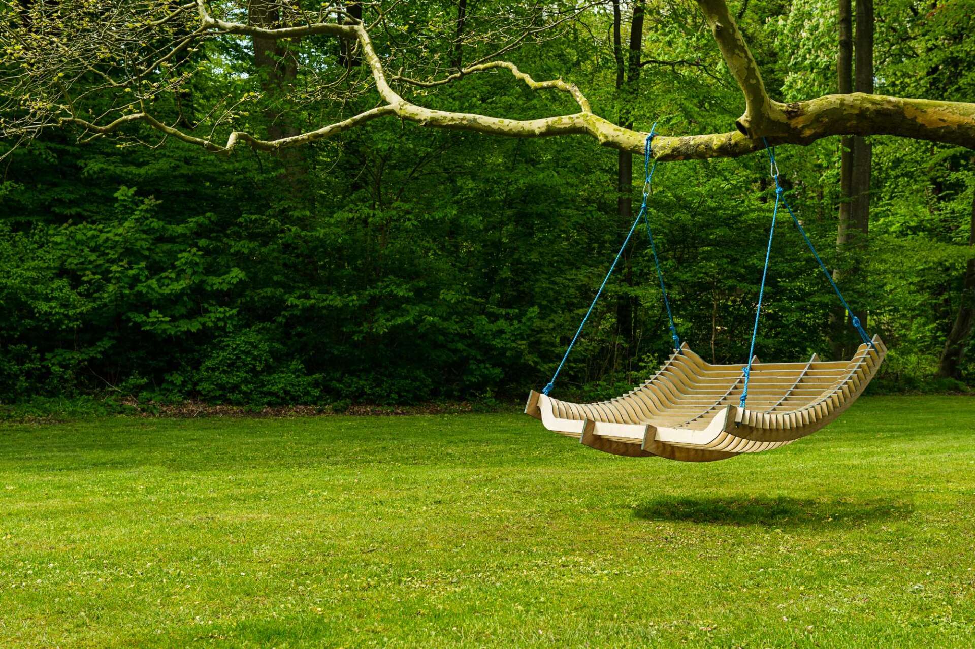 backyard landscaping with hammock
