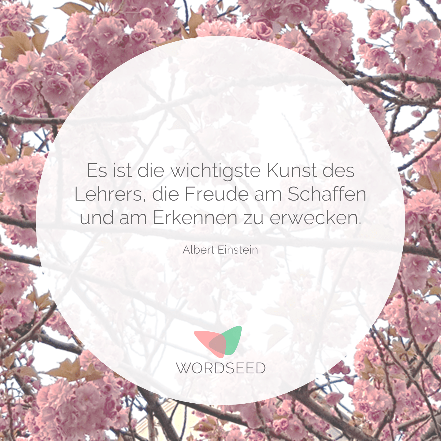 Die Schule des Lebens