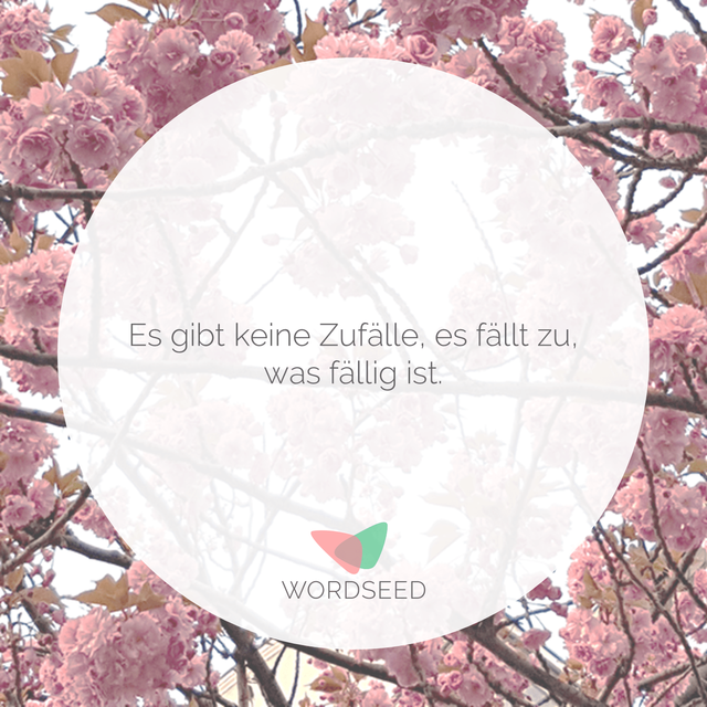 Download Es gibt keine zufaelle jeder mensch Free HD