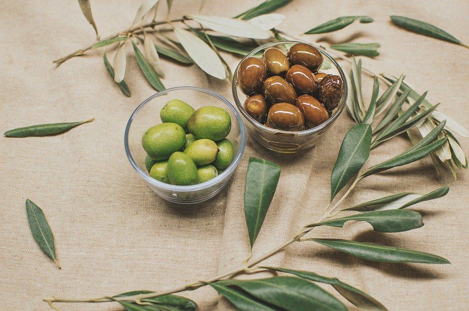 Oliven auf Mallorca, ein gefährliches Thema