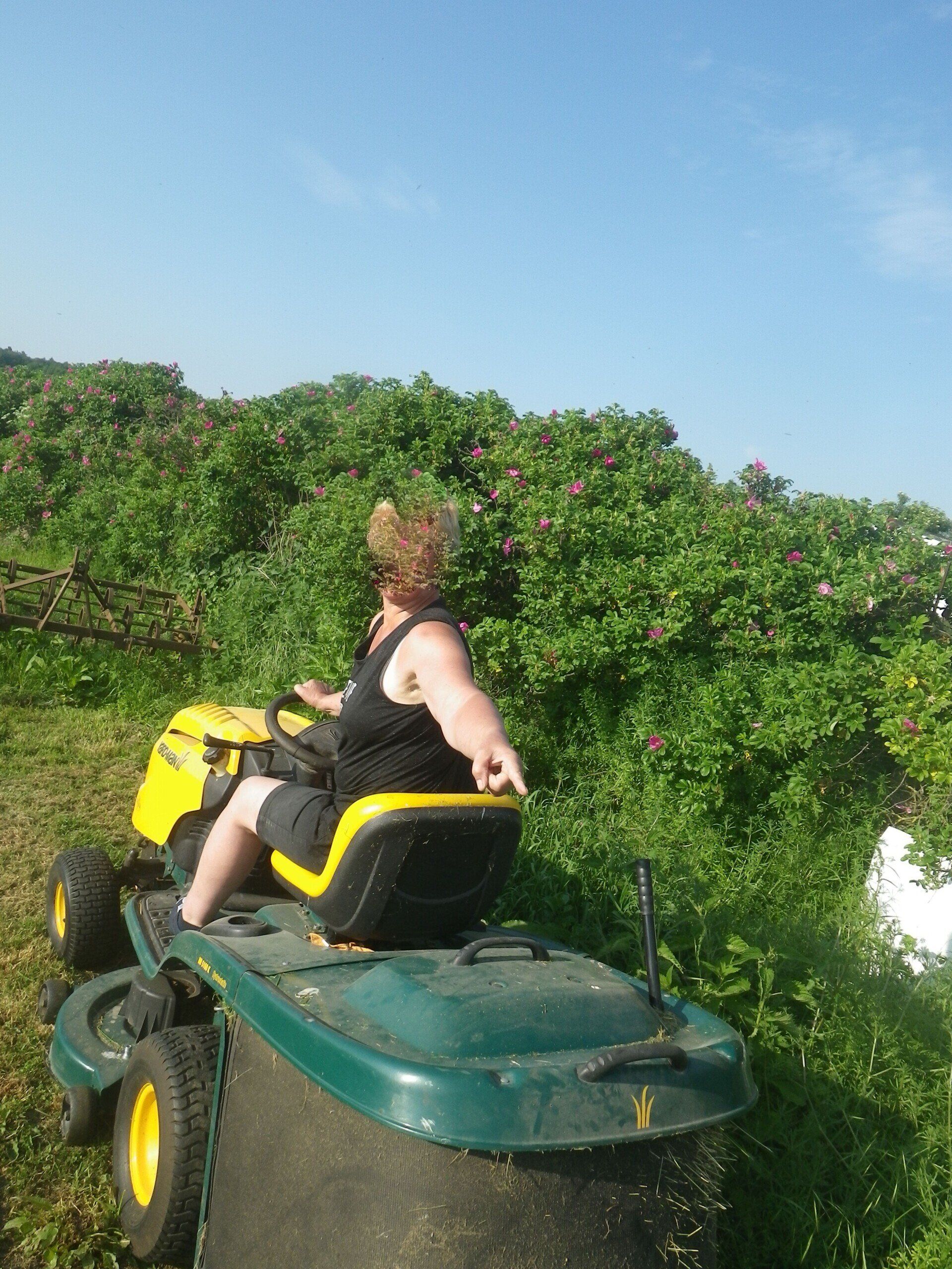 Verschmutzung der alten 