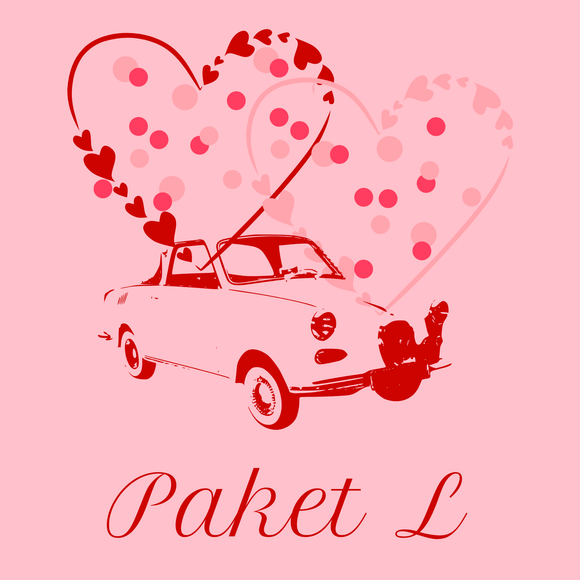 Trauzeremonie mit Hochzeitsfotomotiv Goggomobil von Petra Stoll - das Paket L